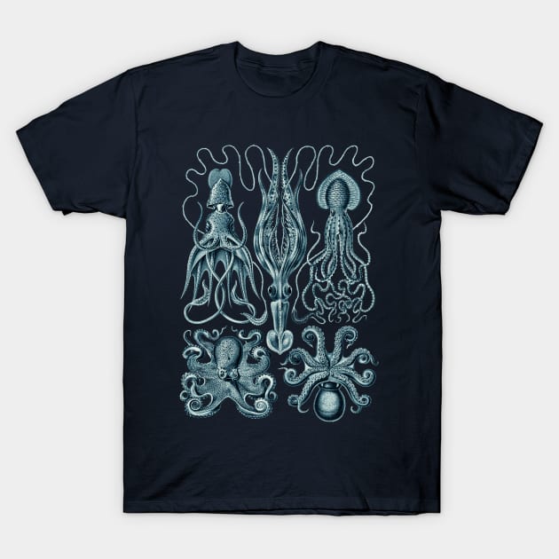 Ernst Haeckel Gamochonia Octopus Cerulean T-Shirt by Scientistudio